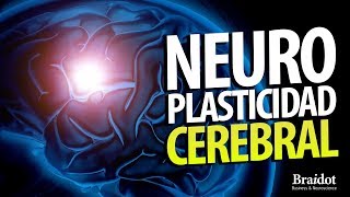 Neuroplasticidad Cerebral [upl. by Ettenad]