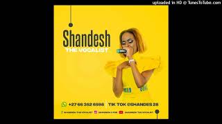 ShandeshSupport Official audio [upl. by Karylin810]