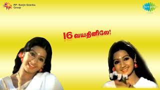 Chenthoora Poove  16 Vayathinile  S Janaki  Kamal Haasan  Rajinikanth  Sridevi  Ilaiyaraaja [upl. by Ardnekat49]