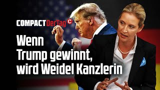 Wenn Trump gewinnt wird Weidel Kanzlerin💥 [upl. by Notnelc]