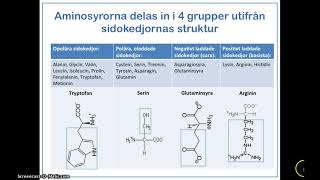 Kortfilm  Aminosyrornas uppbyggnad och indelning [upl. by Nitaj203]