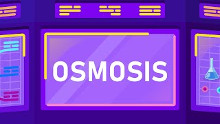 What is Osmosis [upl. by Anele132]