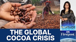 Chocolate to Get More Expensive Why Are Cocoa Prices Breaking Records Vantage with Palki Sharma [upl. by Odette90]