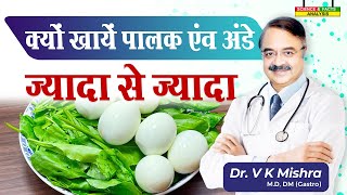 क्यों खाये पालक एव अंडे ज्यादा से ज्यादा  10 MOST NUTRIENT DENSE FOODS ON THE PLANET [upl. by Bannasch]