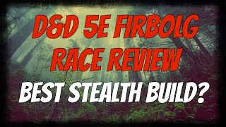 DampD 5e Firbolg Race Review  RP amp Build Tips [upl. by Kitarp669]