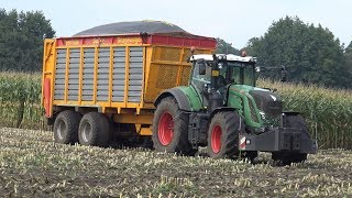 Loonbedrijf Wesselink in de mais met New Holland FR500  Fendt 930 amp 718 Vario 2017 [upl. by Jyoti]