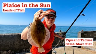 Plaice in the Sun Brighton Marina Tips and Tactics Loads of Fish [upl. by Ardnnek]