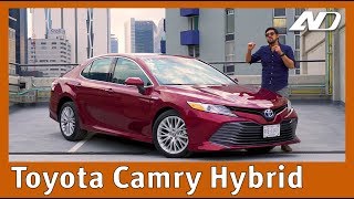 Toyota Camry Híbrido ⭐️  Potente equipado y gasta poco [upl. by Kassey679]