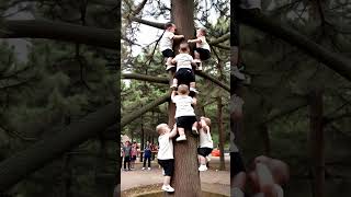 Multiple babies are trained to climb trees The healing smiles of human cubs The carefree childho [upl. by Feeney788]