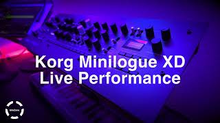 Korg Minilogue XD Live Performance 28 [upl. by Yentuoc]