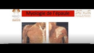 ANATOMIE FMPM MYOLOGIE DE L’ÉPAULE [upl. by Clauddetta9]