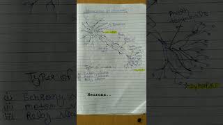 Structure of Neuron👍 [upl. by Marley]