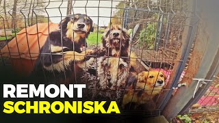 🐶 REMONT SCHRONISKA 🐶  ucieczka psa i spacer po działkach 👣 MOJE MINI ZOO  odc 303 [upl. by Donia]