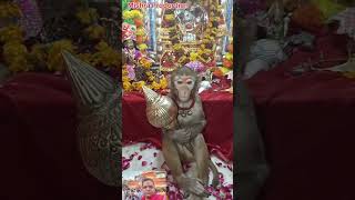 बोलो जय सिया राम जय श्री राम happy song lovebhakti bhajan [upl. by Balbinder378]