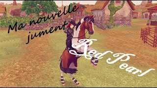 SSO  Achat de mon Trakehner [upl. by Aslehc166]