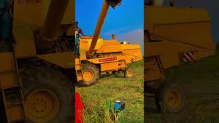 New Holland 8070 harvester 88 modal new short video [upl. by Cima]