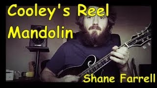 Cooley’s Irish Reel  Mandolin [upl. by Hitoshi46]