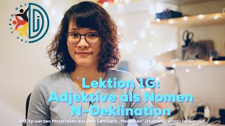 B1Lek1G Adjektive als Nomen und Nomen der NDeklination [upl. by Enirehtacyram]