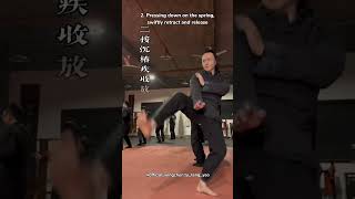 Master Wing Chun Pressing Palm Teaching Demonstration  Tu Tengyao [upl. by Olivette159]