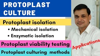 Protoplast culture  Isolation culturing technique and applications [upl. by Carnahan847]