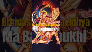 Kaun hai Mahavidya Ma Baglamukhi brhmastravidhya mahavidhya [upl. by Apilef934]