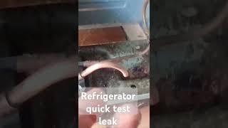 Quick test leak of refrigeration unit [upl. by Roberto399]