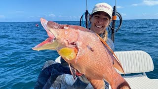 Spearfishing Hogfish in South Florida [upl. by Friedberg]