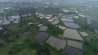 Fish Farming  Machli Palan Subsidy in Chhattisgarh  PMMSY  Blue Revolution [upl. by Cortney208]