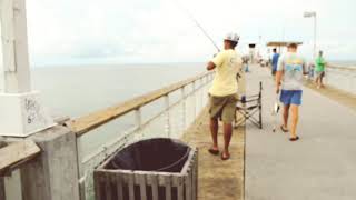 Pier Tournaments 2018 Tarpon Tournament  Okaloosa Island Pier [upl. by Asare]