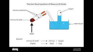 10th Science TN Types of chemical reactions வேதி வினைகளின் வகைகள் [upl. by Lesh917]