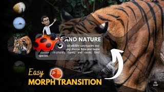 Morph Transition PowerPoint Masterclass [upl. by Case]