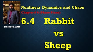 64B Rabbit VS Sheep [upl. by Ender]