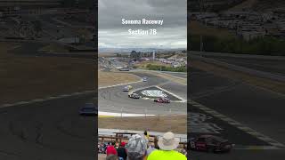 Sonoma Raceway viewing perspectives Section 7B Shorts [upl. by Ehcsrop]