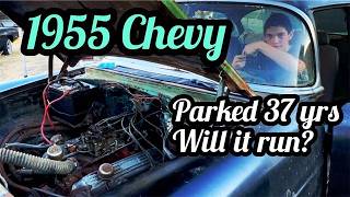 Will This 1955 Chevy RUN After 37 YEARS Parked In A Field [upl. by Shakespeare]