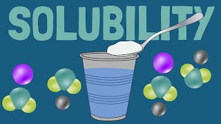 How Solubility and Dissolving Work [upl. by Delorenzo]