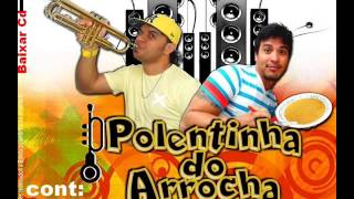 Poletinha do Arrocha Plaque de 100 [upl. by Melitta]