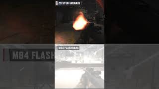 This update focuses on the M84 flashbang to distinguish its effect from the Z3 stun grenade ABIS1 [upl. by Josephson]