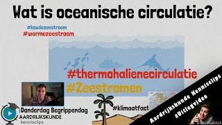 Wat is oceanische circulatie donderdagbegrippendag [upl. by Archibold]