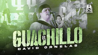 David Ornelas  El Guachillo En Vivo [upl. by Errick]