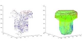 Actin Dynamics and Dendritic Spine Growth [upl. by Ahsinyar118]