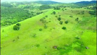 Vendo excelente fazenda em Castro AlvesBahia 71 9 99834098 zap [upl. by Enoch873]