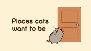 Pusheen Places Cats Want to Be [upl. by Erkan]