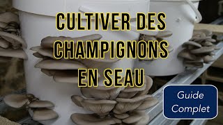 Cultiver des CHAMPIGNONS en SEAU Guide Complet [upl. by Aldon]