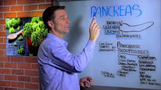 The Function Of Pancreas amp Pancreatitis – Dr Berg on Pancreatic Insufficiency [upl. by Chretien320]