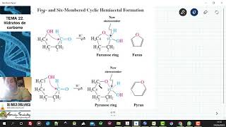 TEMA 22 CARBOHIDRATOS  TEMARIO [upl. by Dranreb]