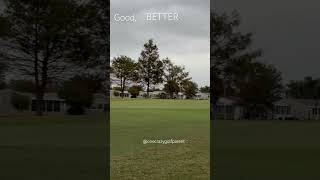 👍 upanddown chipping puttinggreen shortgame golfer goodgood chipshot [upl. by Ocramed]