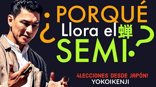 ¿Por qué llora el SEMI 4 lecciones desde Japón  YOKOI KENJI [upl. by Llennahc373]