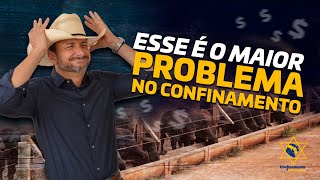 Esse é O MAIOR PROBLEMA NO CONFINAMENTO gado boinococho confinamento [upl. by Reisch]