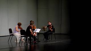 Brentano Quartet Beethoven String Quartet No 4 in C minor Op 18 No 4 4th movement [upl. by Maris572]