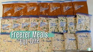 Freezer Meals for One  Individual Serving Dinners [upl. by Ainahs]